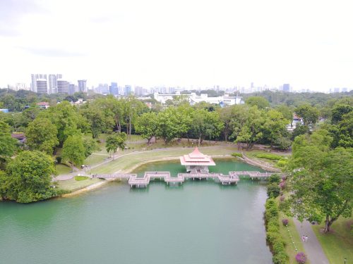 MacRitchie Reservoir Park: View of the bridge with the skyline of the inner suburbs