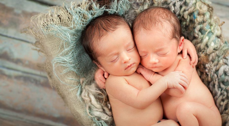 To twins or not to twins image
